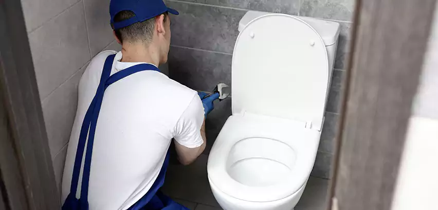 Toilet Lid Replacement in Tucker